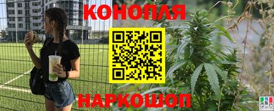 ПСИЛОЦИБИНОВЫЕ ГРИБЫ Северобайкальск